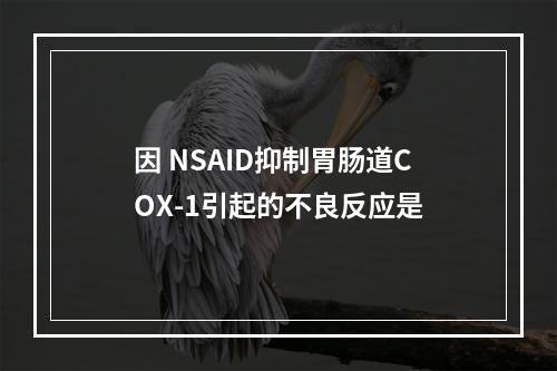 因 NSAID抑制胃肠道COX-1引起的不良反应是