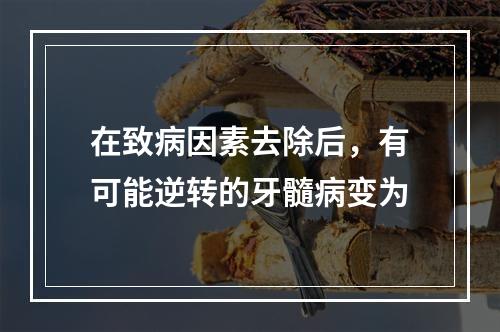 在致病因素去除后，有可能逆转的牙髓病变为