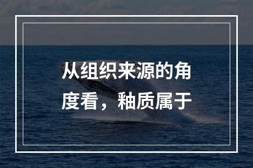 从组织来源的角度看，釉质属于