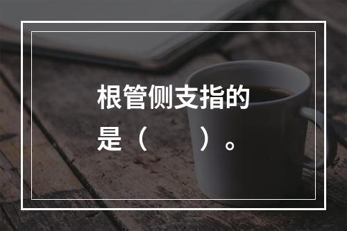 根管侧支指的是（　　）。