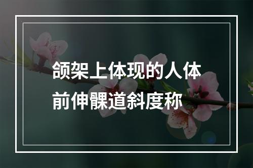 颌架上体现的人体前伸髁道斜度称