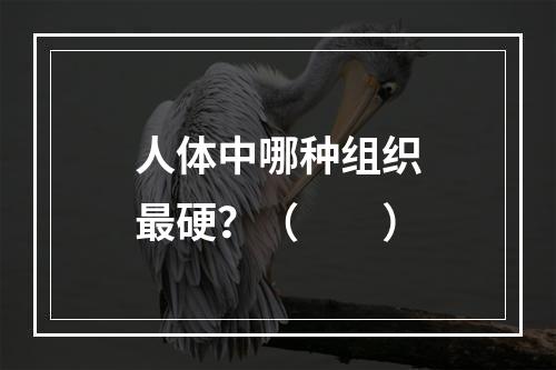 人体中哪种组织最硬？（　　）