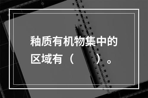 釉质有机物集中的区域有（　　）。