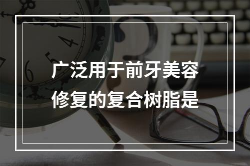 广泛用于前牙美容修复的复合树脂是