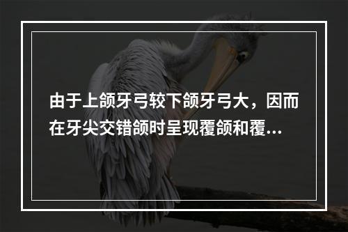 由于上颌牙弓较下颌牙弓大，因而在牙尖交错颌时呈现覆颌和覆盖关