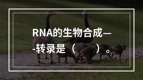 RNA的生物合成—-转录是（　　）。