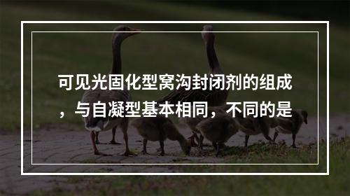 可见光固化型窝沟封闭剂的组成，与自凝型基本相同，不同的是