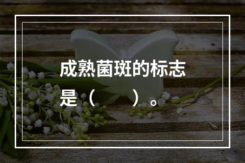 成熟菌斑的标志是（　　）。