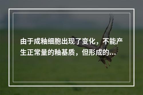 由于成釉细胞出现了变化，不能产生正常量的釉基质，但形成的釉基