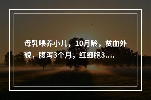 母乳喂养小儿，10月龄，贫血外貌，腹泻3个月，红细胞3.2×