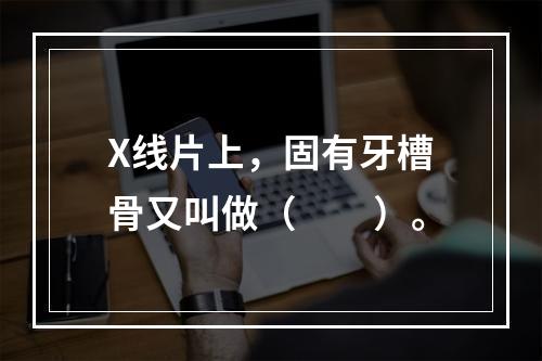 X线片上，固有牙槽骨又叫做（　　）。