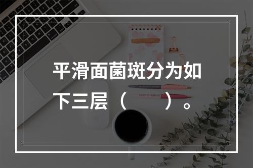 平滑面菌斑分为如下三层（　　）。