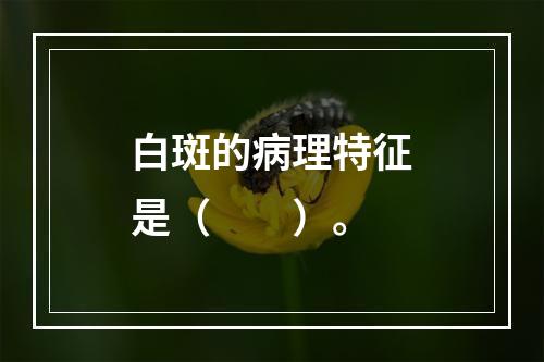 白斑的病理特征是（　　）。