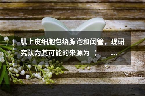 肌上皮细胞包绕腺泡和闰管，现研究认为其可能的来源为（　　）。