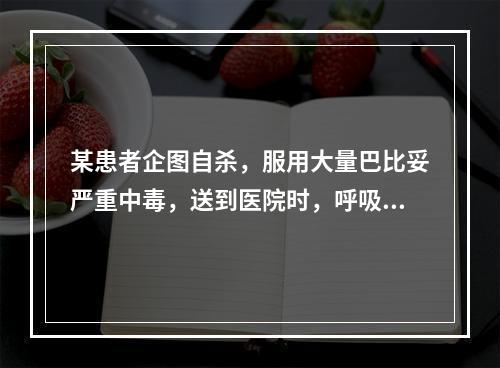 某患者企图自杀，服用大量巴比妥严重中毒，送到医院时，呼吸已经