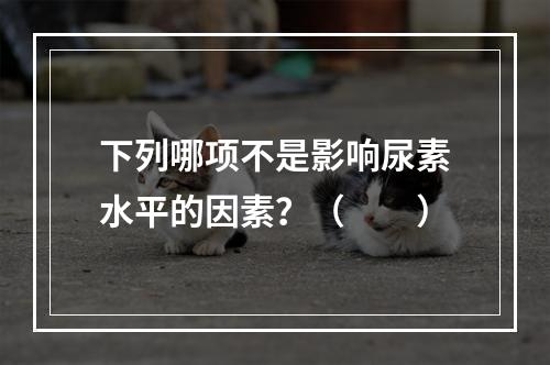 下列哪项不是影响尿素水平的因素？（　　）