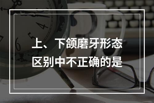 上、下颌磨牙形态区别中不正确的是