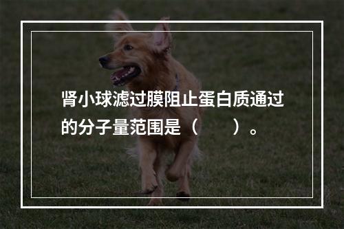 肾小球滤过膜阻止蛋白质通过的分子量范围是（　　）。