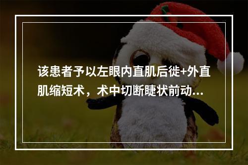 该患者予以左眼内直肌后徙+外直肌缩短术，术中切断睫状前动脉几