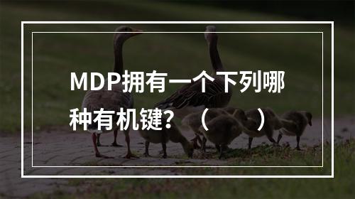 MDP拥有一个下列哪种有机键？（　　）