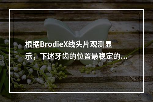 根据BrodieX线头片观测显示，下述牙齿的位置最稳定的是（