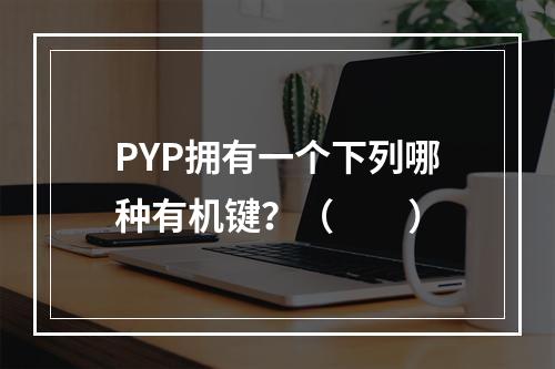 PYP拥有一个下列哪种有机键？（　　）