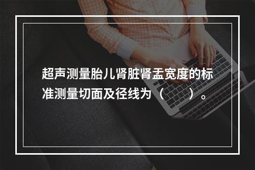 超声测量胎儿肾脏肾盂宽度的标准测量切面及径线为（　　）。