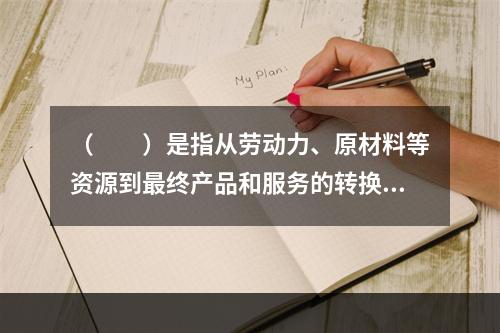 （　　）是指从劳动力、原材料等资源到最终产品和服务的转换过