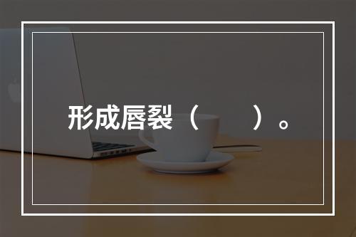 形成唇裂（　　）。