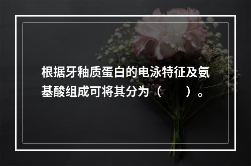 根据牙釉质蛋白的电泳特征及氨基酸组成可将其分为（　　）。