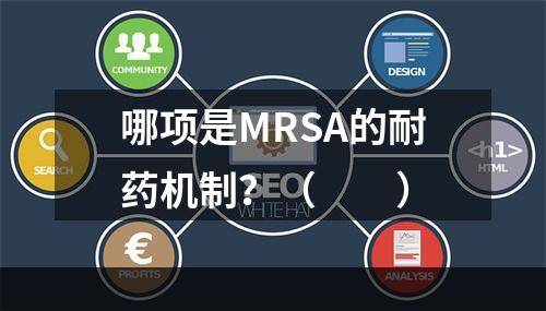 哪项是MRSA的耐药机制？（　　）