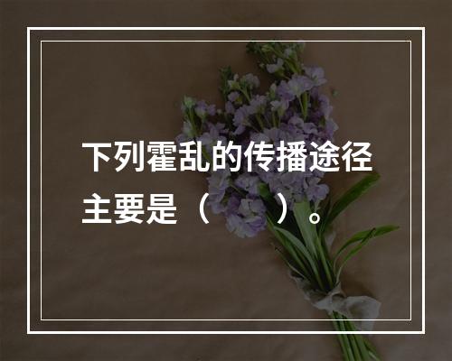 下列霍乱的传播途径主要是（　　）。