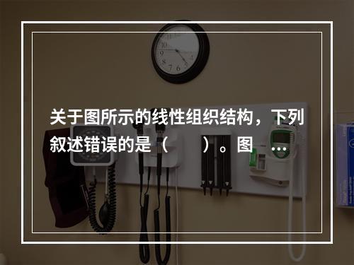 关于图所示的线性组织结构，下列叙述错误的是（　　）。图　线