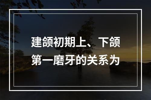 建颌初期上、下颌第一磨牙的关系为