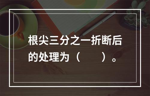 根尖三分之一折断后的处理为（　　）。