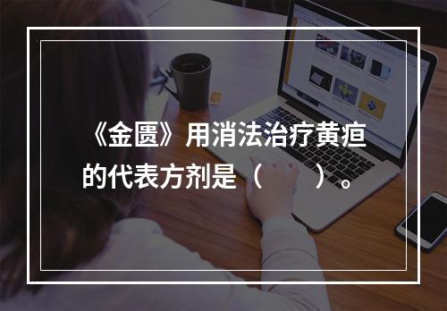 《金匮》用消法治疗黄疸的代表方剂是（　　）。