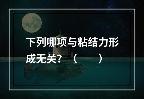 下列哪项与粘结力形成无关？（　　）