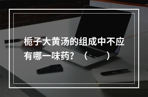 栀子大黄汤的组成中不应有哪一味药？（　　）