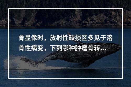 骨显像时，放射性缺损区多见于溶骨性病变，下列哪种肿瘤骨转移