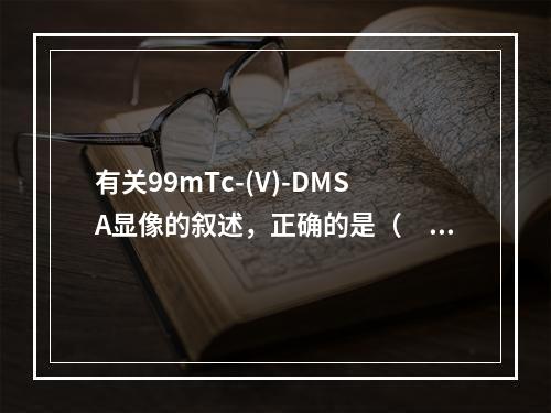 有关99mTc-(V)-DMSA显像的叙述，正确的是（　　