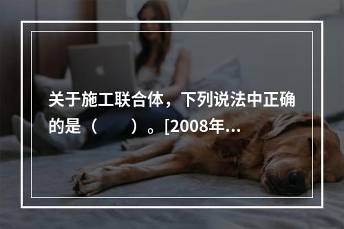 关于施工联合体，下列说法中正确的是（　　）。[2008年真