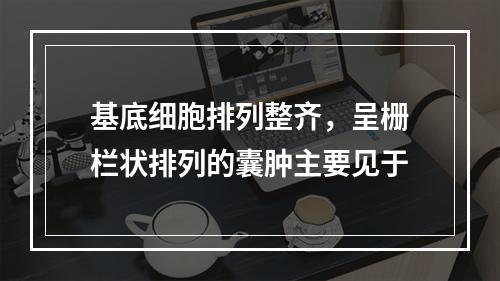 基底细胞排列整齐，呈栅栏状排列的囊肿主要见于