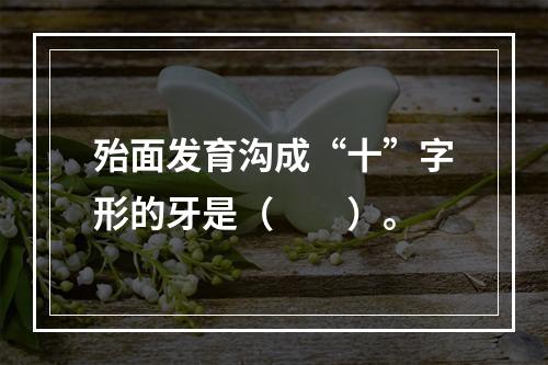 殆面发育沟成“十”字形的牙是（　　）。