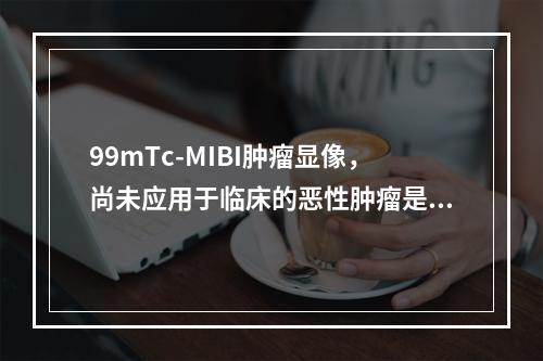 99mTc-MIBI肿瘤显像，尚未应用于临床的恶性肿瘤是（