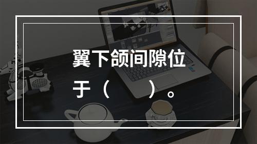 翼下颌间隙位于（　　）。