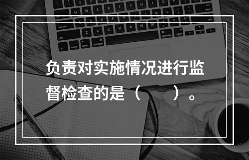 负责对实施情况进行监督检查的是（　　）。