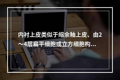 内衬上皮类似于缩余釉上皮、由2～4层扁平细胞或立方细胞构成的