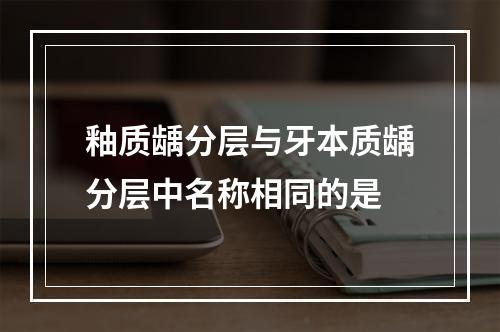 釉质龋分层与牙本质龋分层中名称相同的是