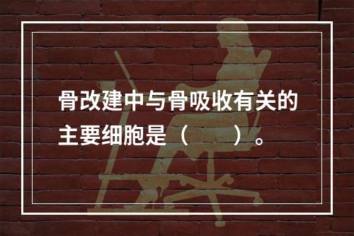 骨改建中与骨吸收有关的主要细胞是（　　）。