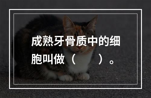 成熟牙骨质中的细胞叫做（　　）。